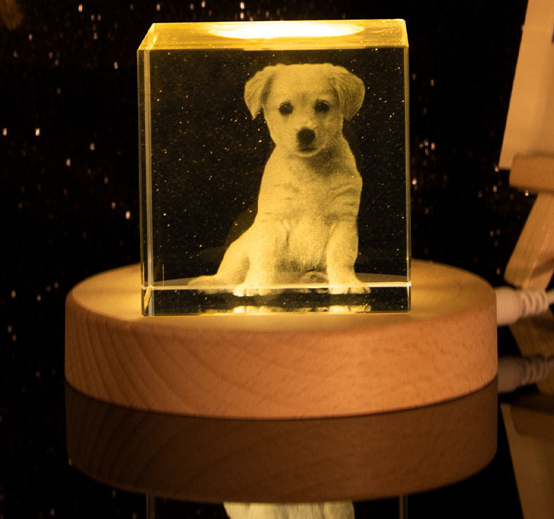 Personalized Pet Memorial Crystal Ball Lamp, Custom Photo Engraved Glass Globe with Wooden LED Base, Home Decor, Gift for Pet Lovers, Anniversary, Valentine’s Day