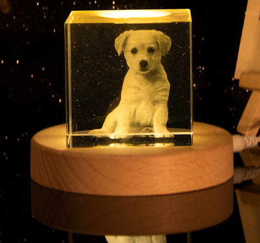 Personalized Pet Memorial Crystal Ball Lamp, Custom Photo Engraved Glass Globe with Wooden LED Base, Home Decor, Gift for Pet Lovers, Anniversary, Valentine’s Day
